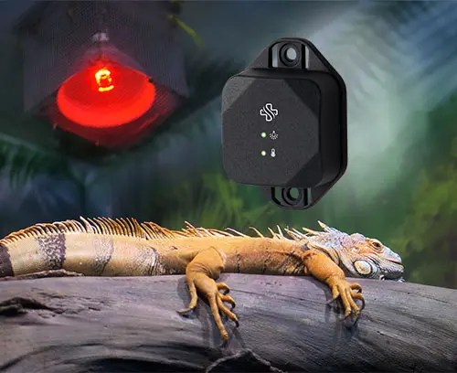 Environmental condition Monitoring